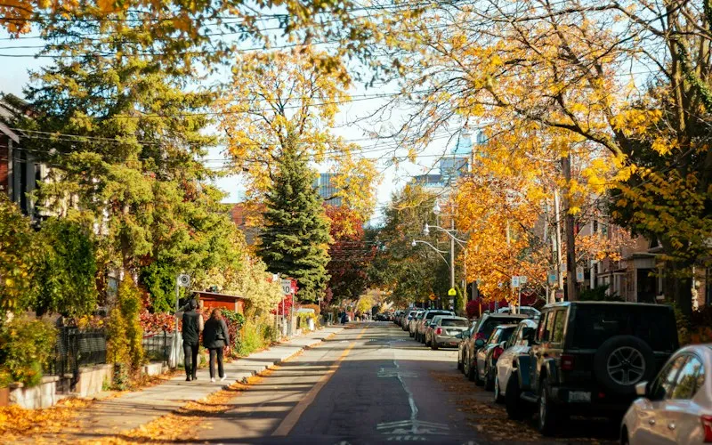 Tree-lined residential street in autumn (illustrative photo for Homes for sale in Cambridge)